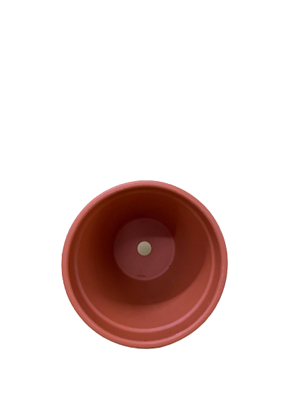 160857153_440600343865645_3922403387801497759_n-removebg-preview (1)