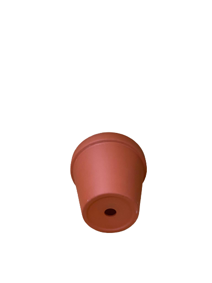 160892946_123180599755227_3306507966431172877_n-removebg-preview