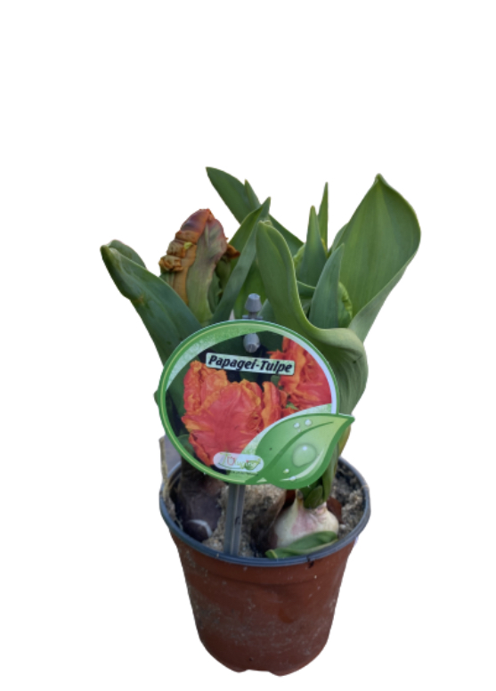 B16F3578-C519-4FFC-94AD-4F266EA1FEB0