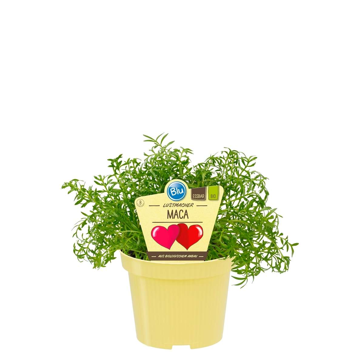 115_058cbaf85bad83_600x600@2x