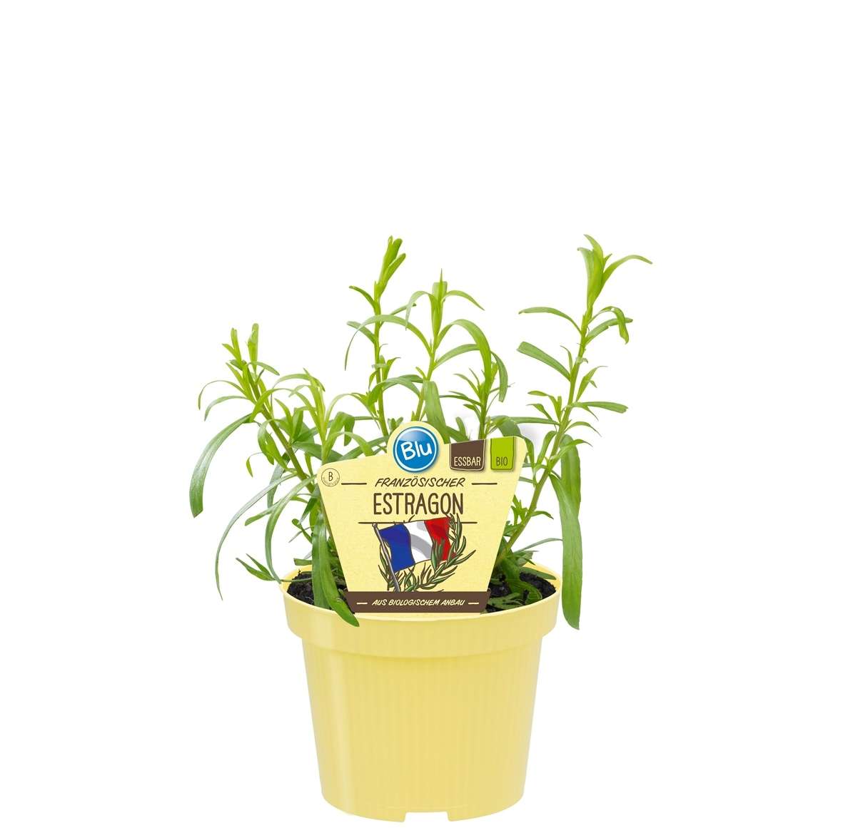 123_058cbaf860baa0_600x600@2x