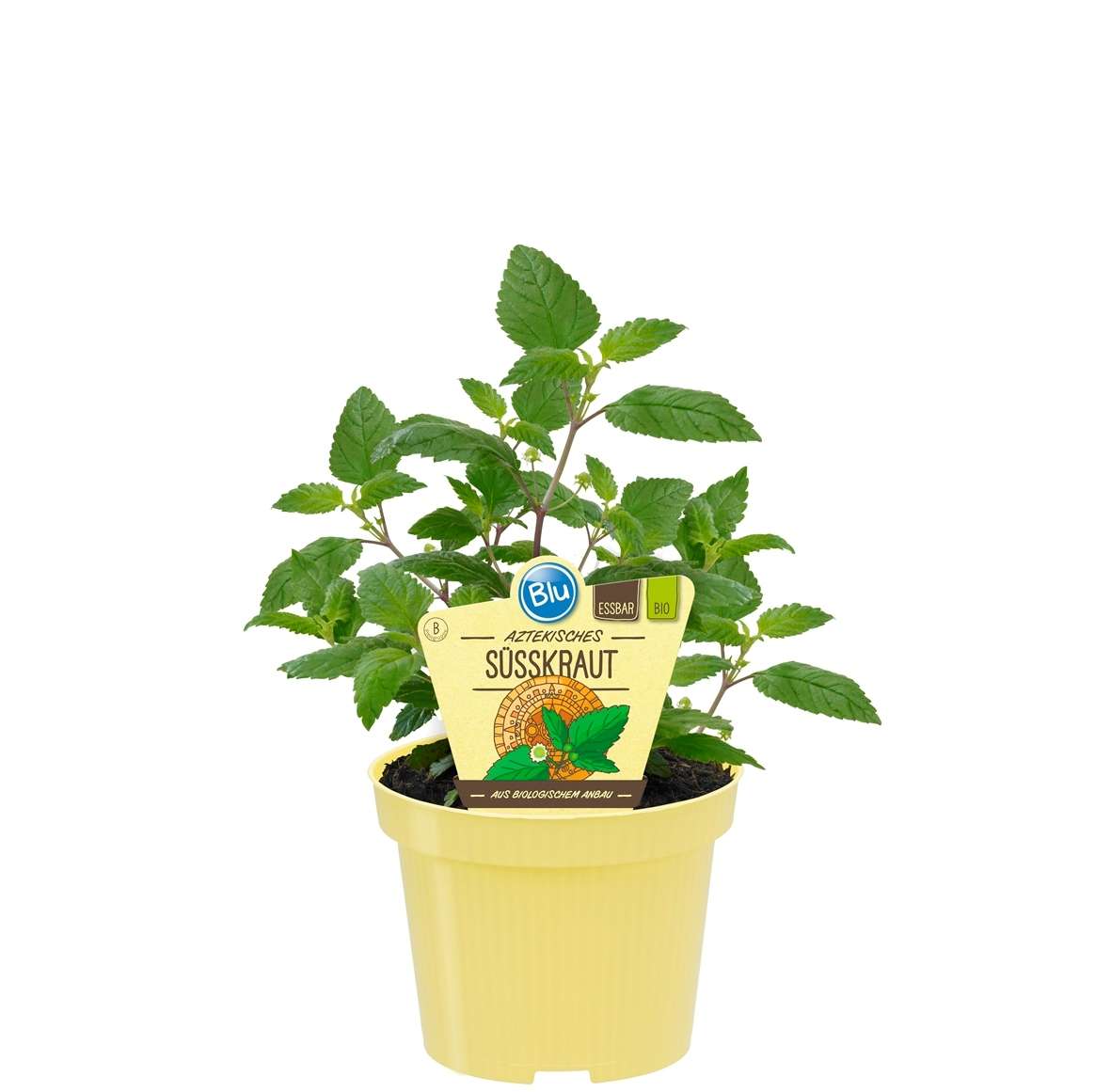 211_058cbaf8e48d44_600x600@2x