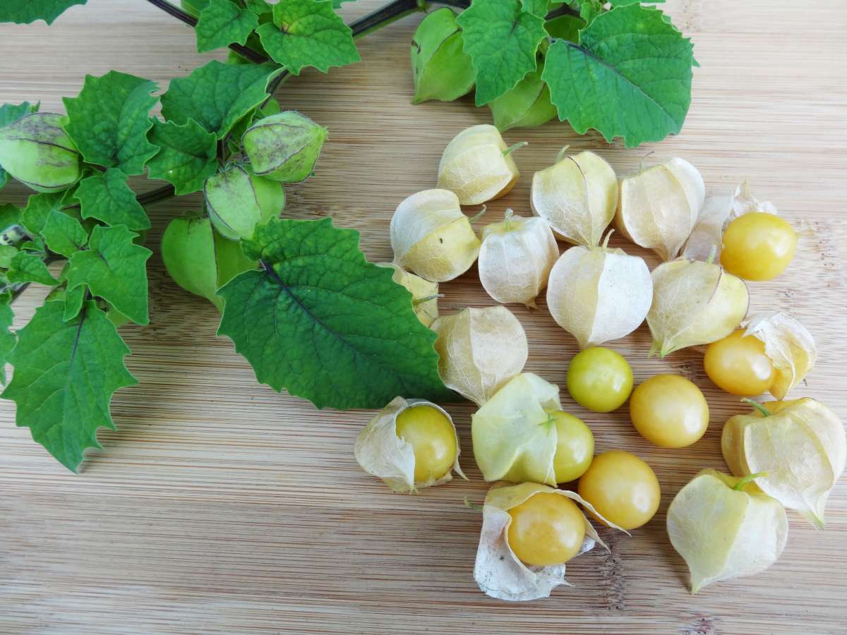 Blu-Ananas-Kirsche_15a258fa80b287_600x600@2x