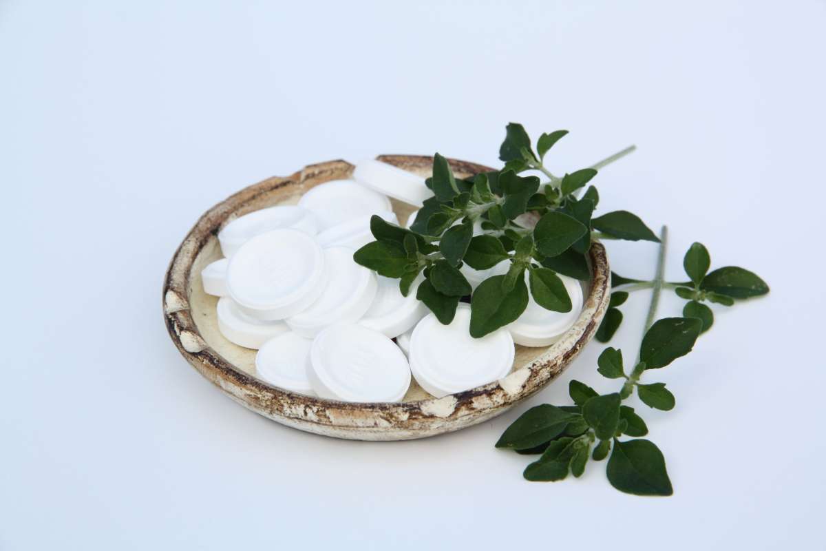 Blu-Mentholstrauch_0098_600x600@2x