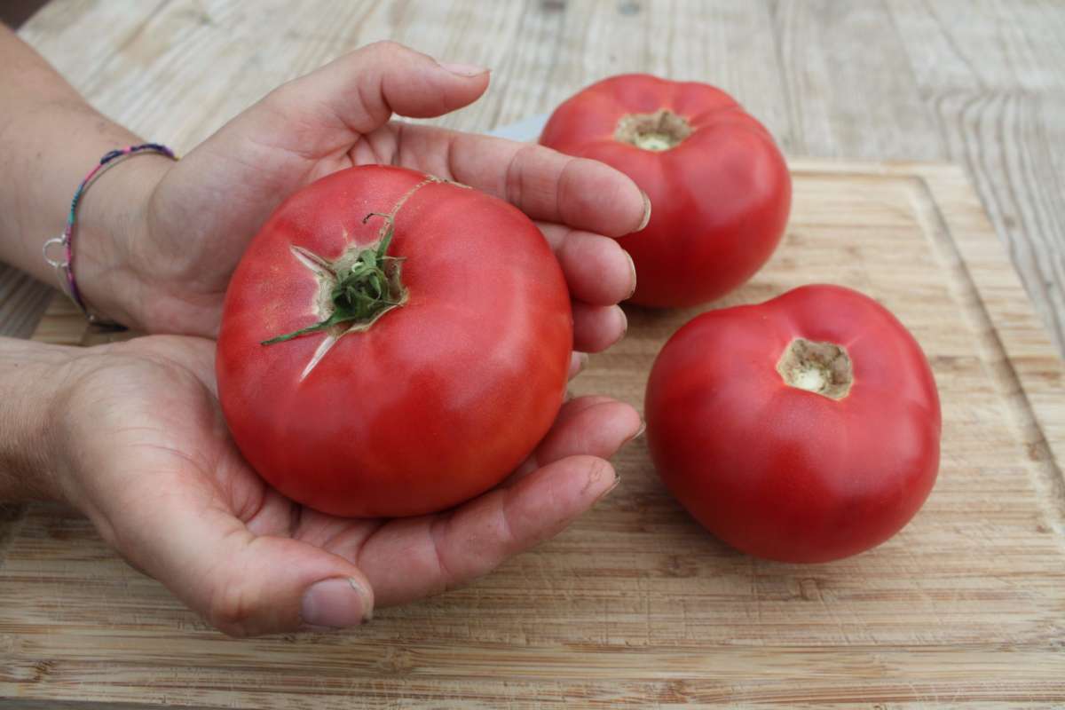 Rose-crush_1_600x600@2x