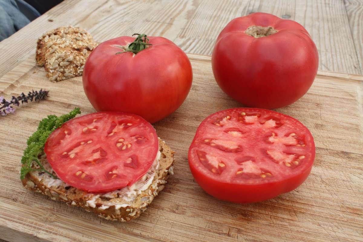 Rose-crush_4_600x600@2x